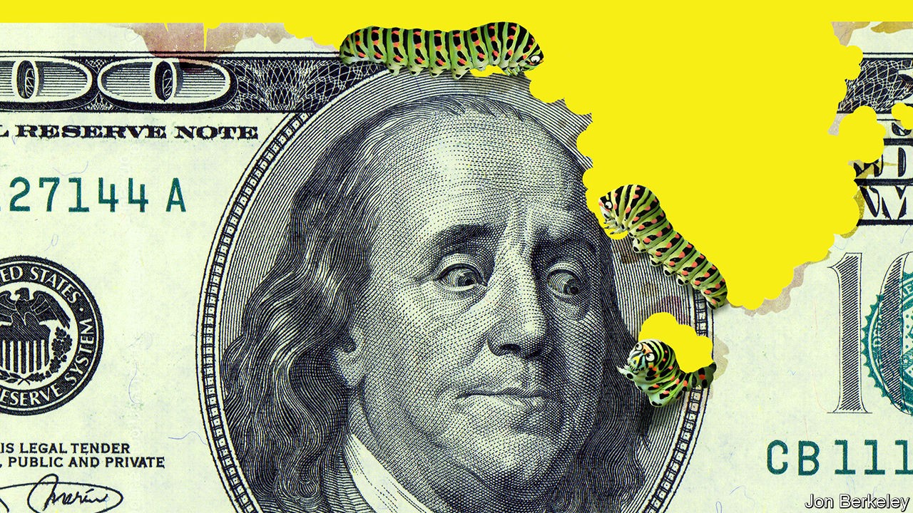 💎🙌Wandering in a blistering-hot Stonk Market